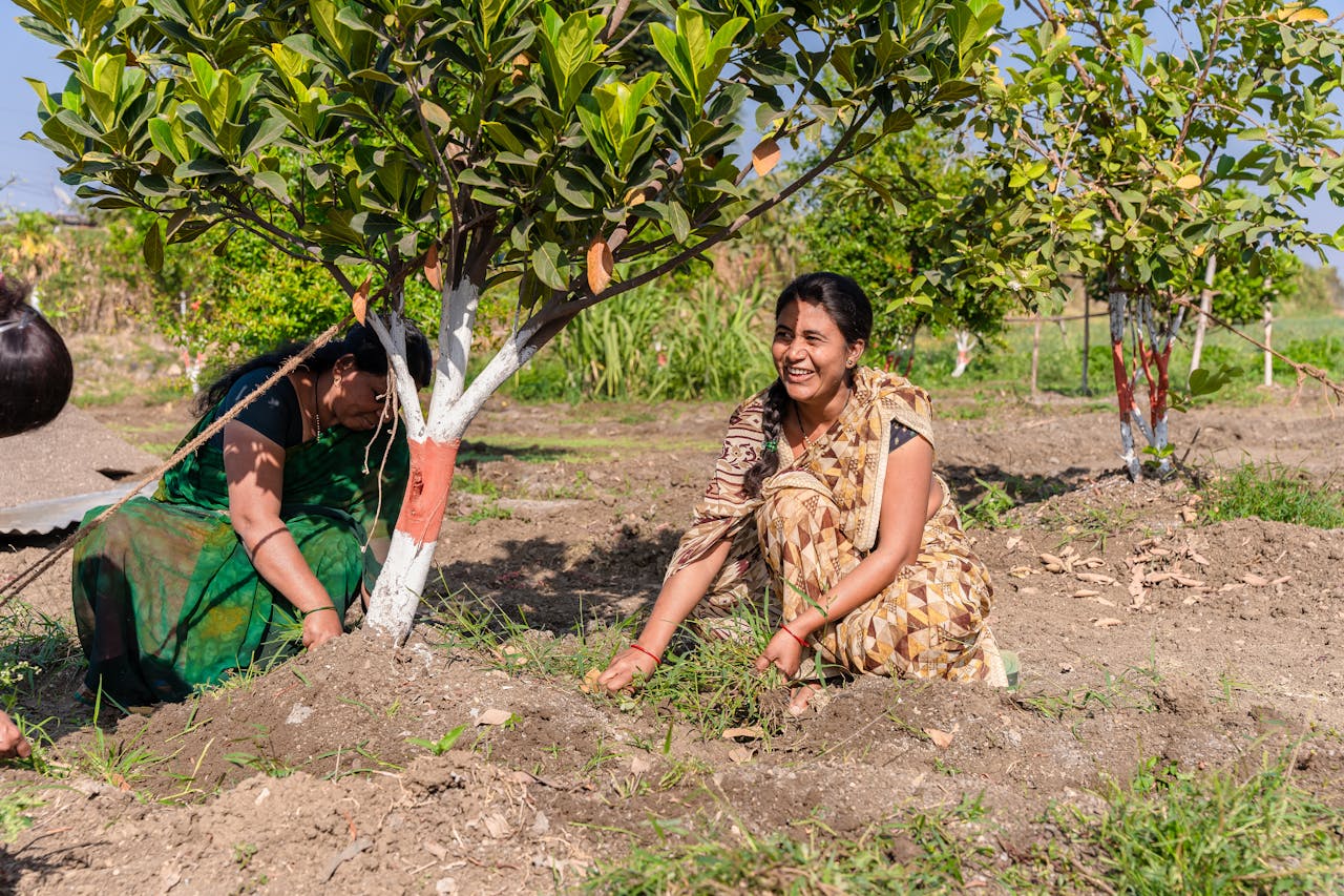 The Art of Drawing Readers In: Your attractive post title goes here Smiling women farmers working on a sunny day in Nagpur, promoting rural agriculture.